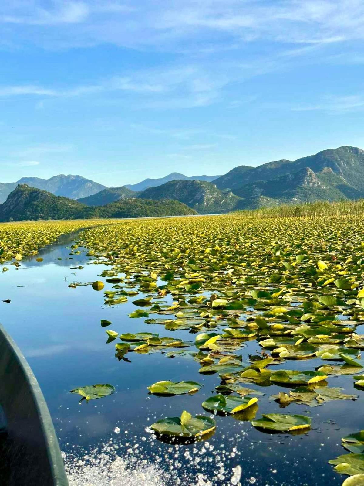 Casa Di Kiara, Skadar Lake Dodosi Exteriör bild